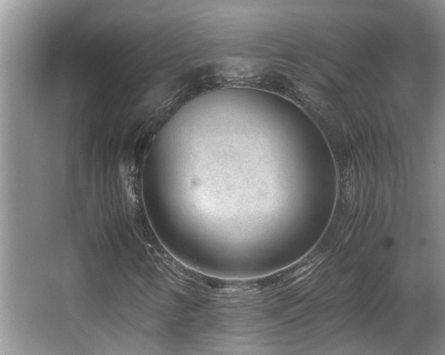 X0000066021346200603031238