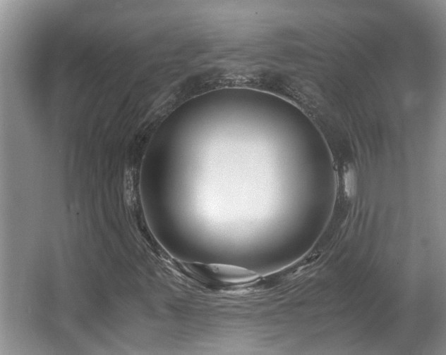 X0000066021347200603031238