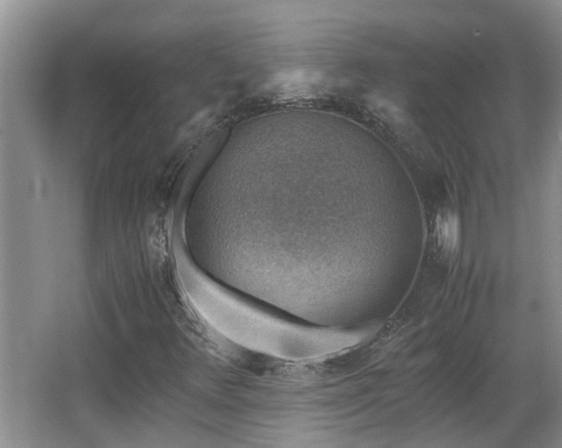 X0000066021348200603031238