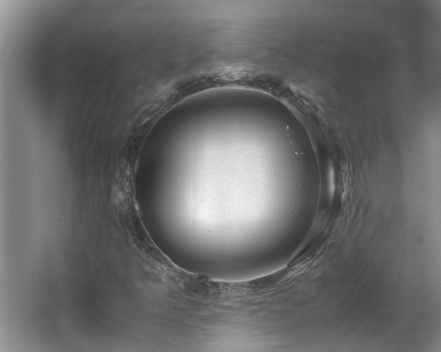 X0000066021349200603031238