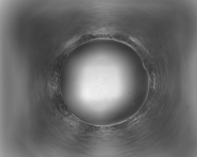 X0000066021350200603031238
