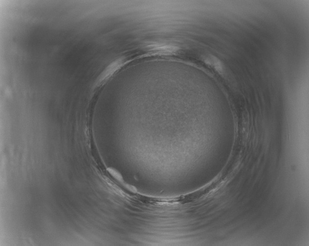 X0000066021354200603031238