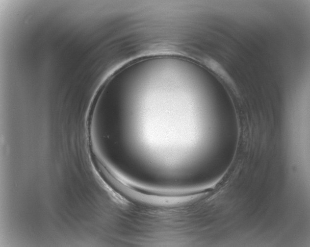 X0000066021380200603031238