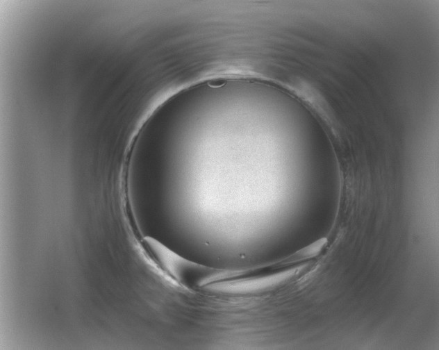 X0000066021382200603031238