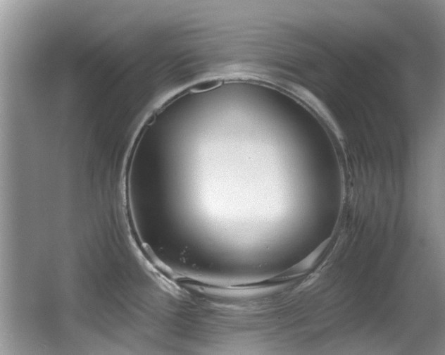 X0000066021388200603031238