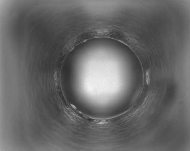 X0000066021395200603031237