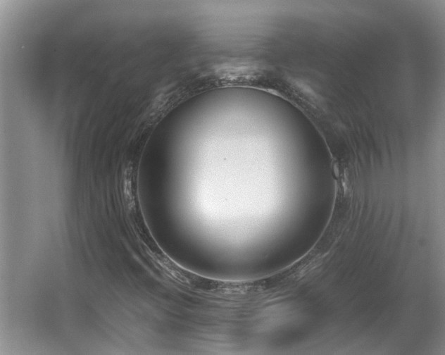 X0000066021396200603031237