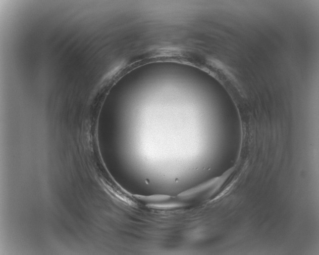 X0000066021403200603031237