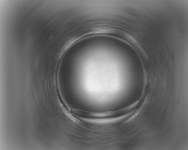 X0000066021417200603031237