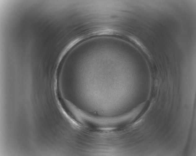 X0000066021418200603031237
