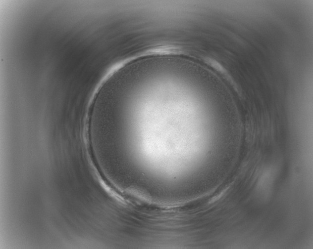 X0000066021421200603031237