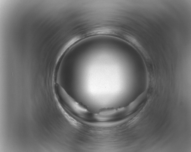X0000066021426200603031237