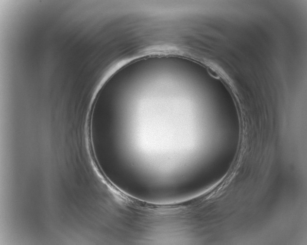 X0000066021440200603031238
