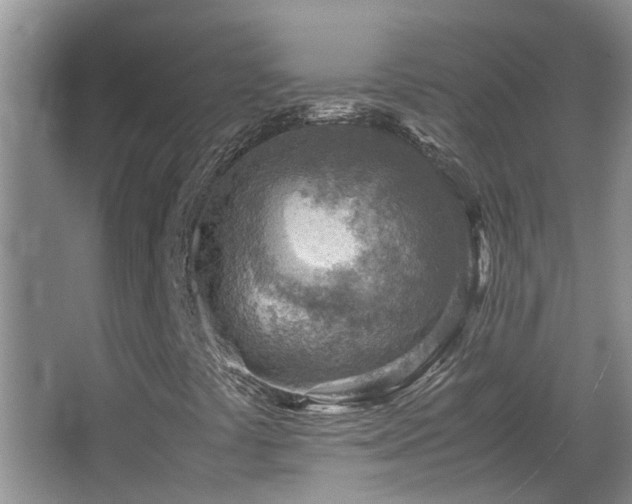 X0000066021441200603031237