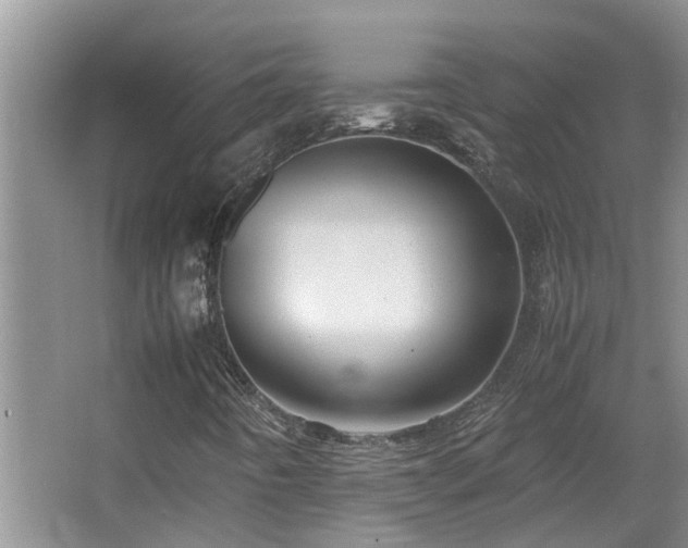 X0000066021442200603031237