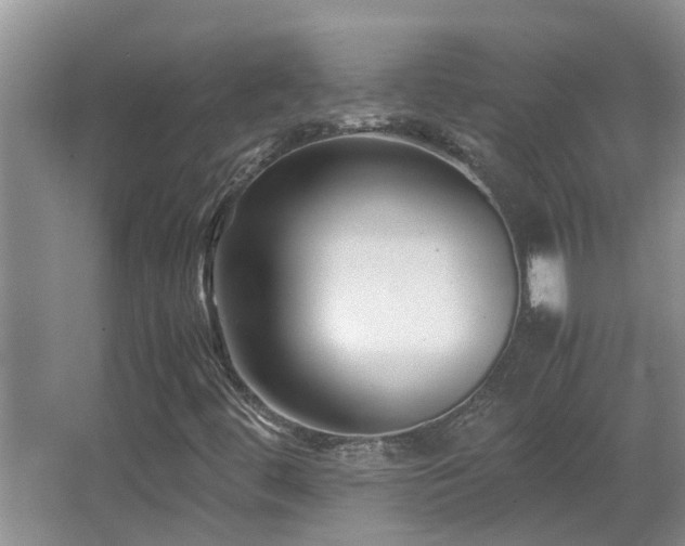X0000066021444200603031237