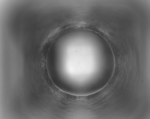 X0000066021447200603031237