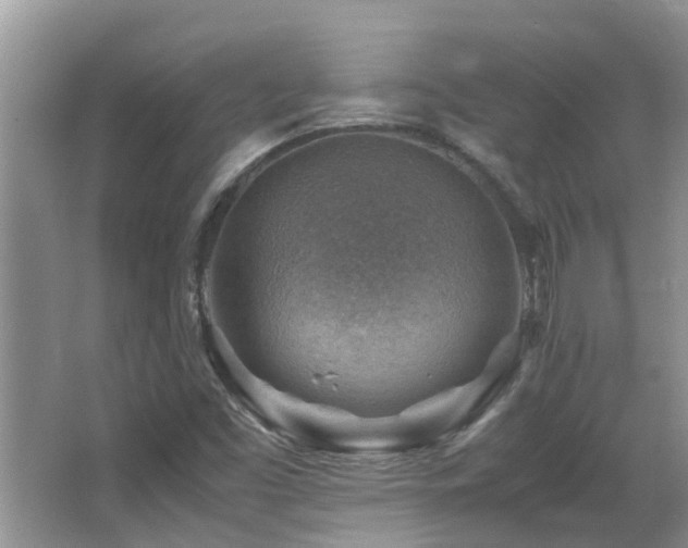 X0000066021453200603031237