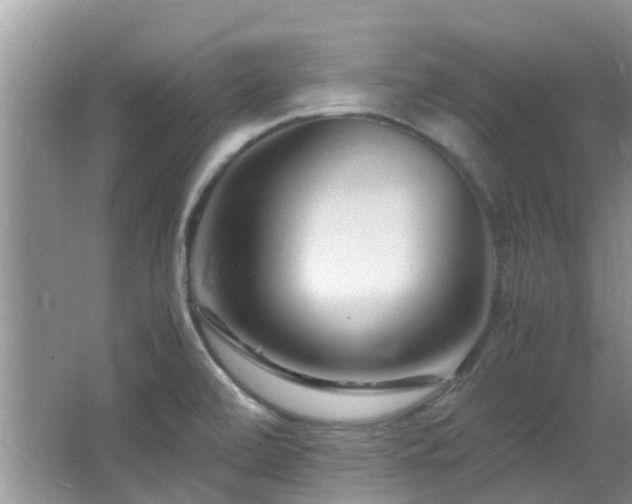 X0000066021472200603031236