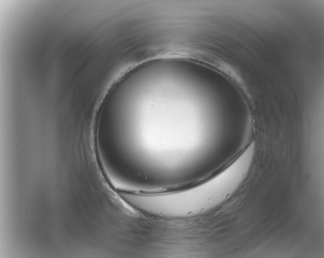X0000066021480200603031236