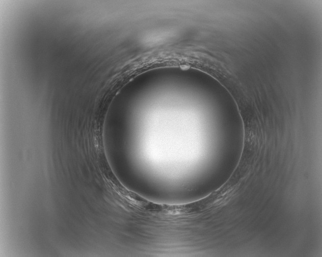 X0000066021490200603031235
