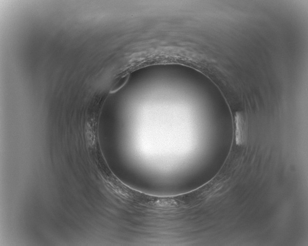 X0000066021491200603031235