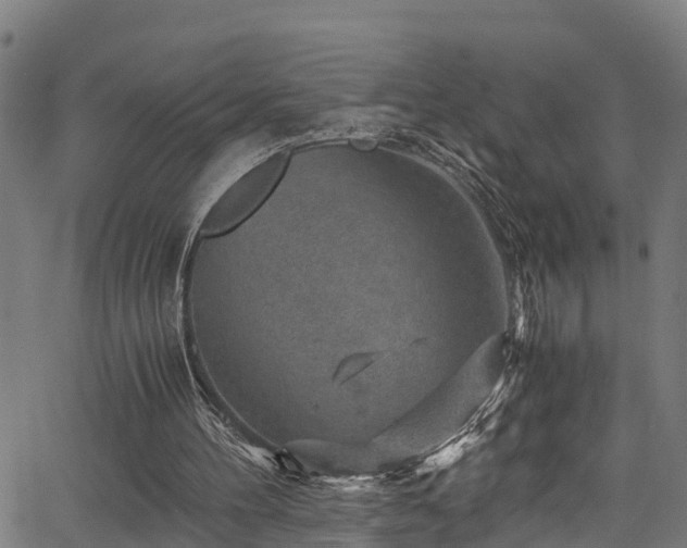 X0000066020100200603061333