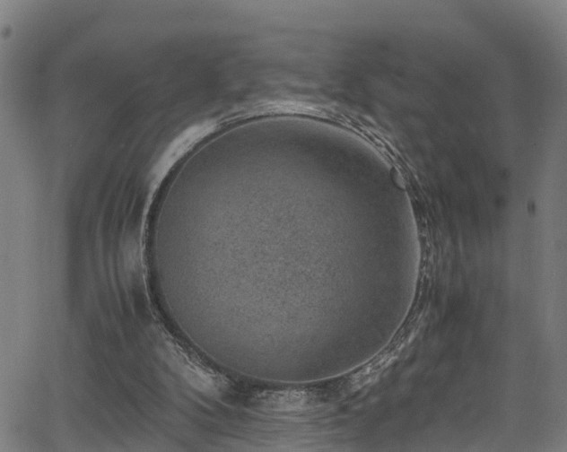 X0000066020104200603061333