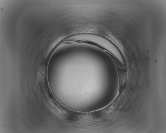X0000066020107200603061333