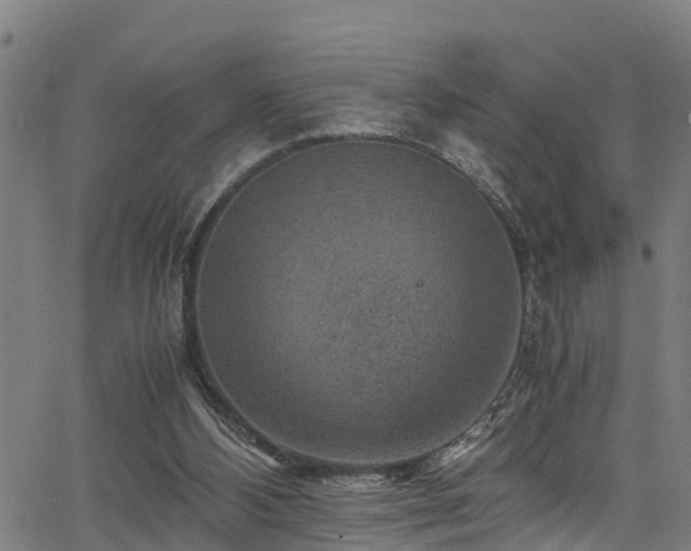 X0000066020108200603061333