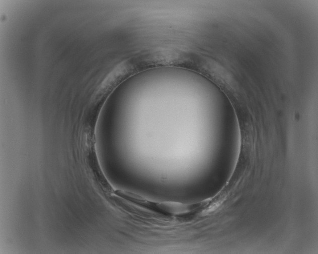 X0000066020119200603061332