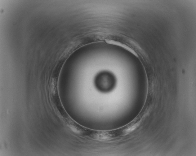 X0000066020121200603061332