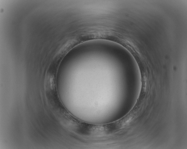 X0000066020123200603061332