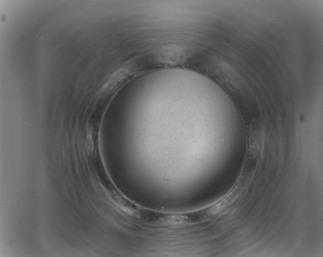 X0000066020128200603061332