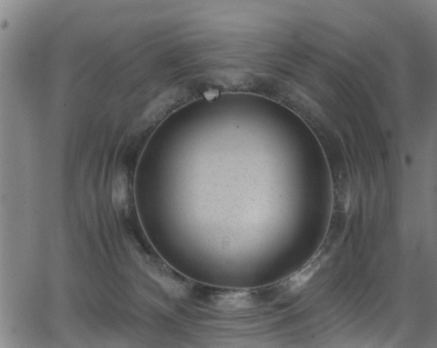 X0000066020132200603061332
