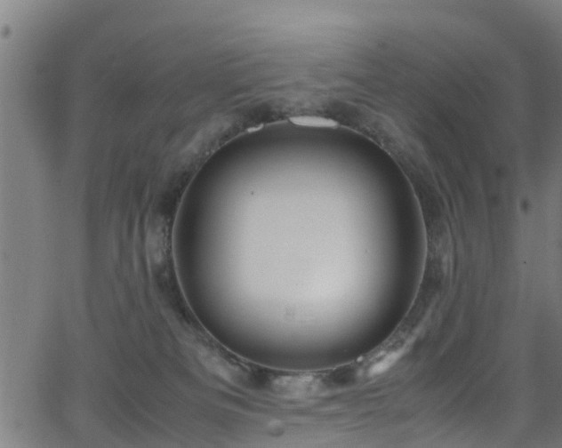 X0000066020133200603061332