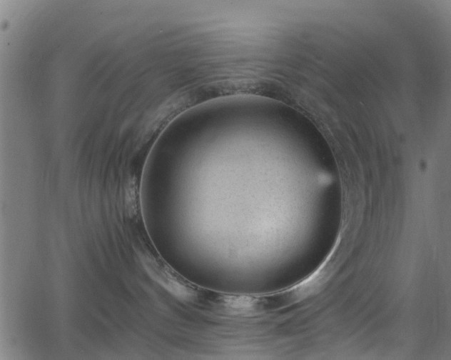 X0000066020144200603061332