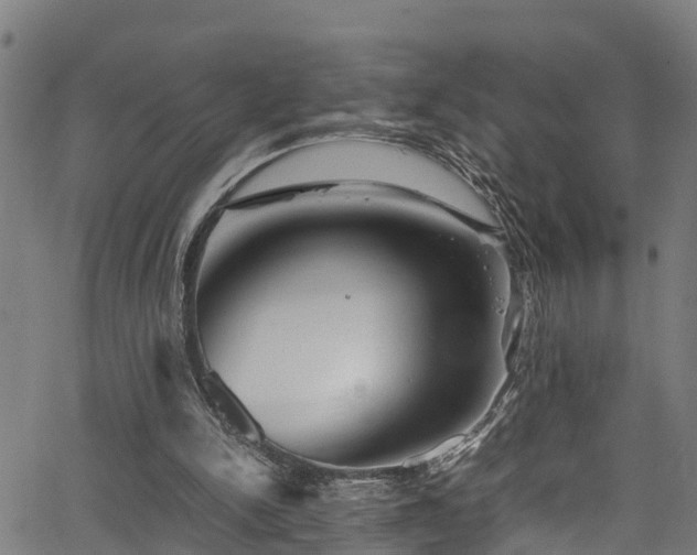 X0000066020150200603061331