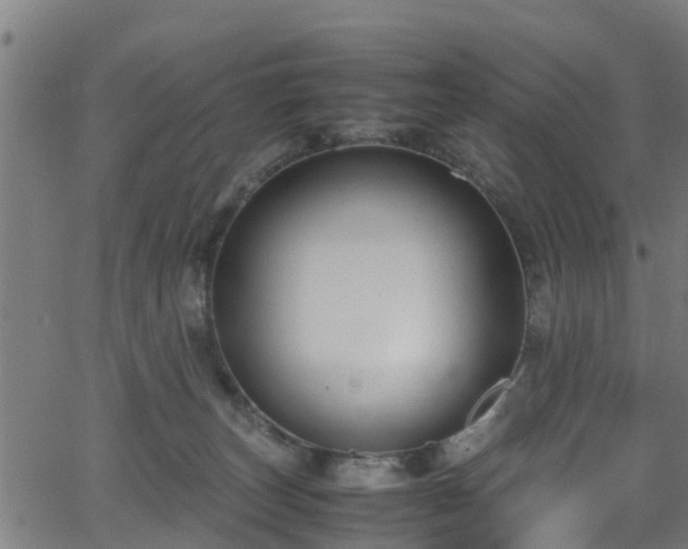 X0000066020179200603061332