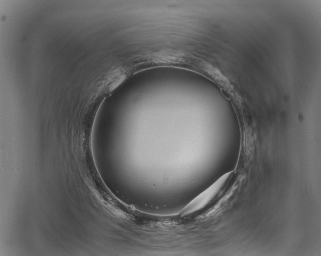 X0000066020201200603061331