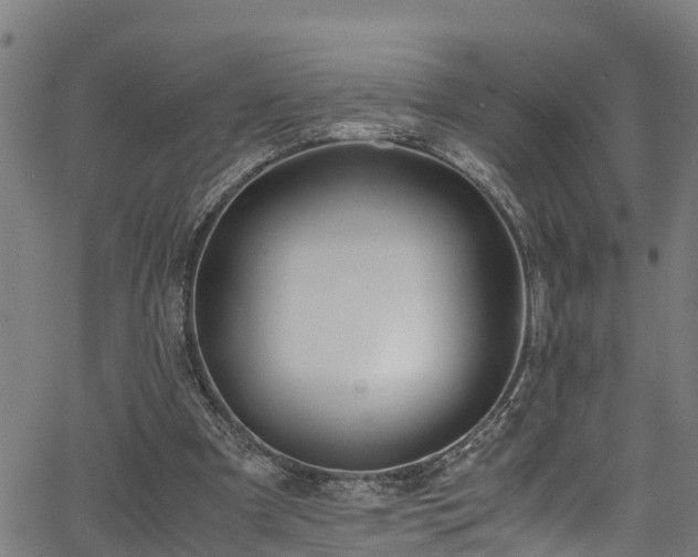 X0000066020297200603061330