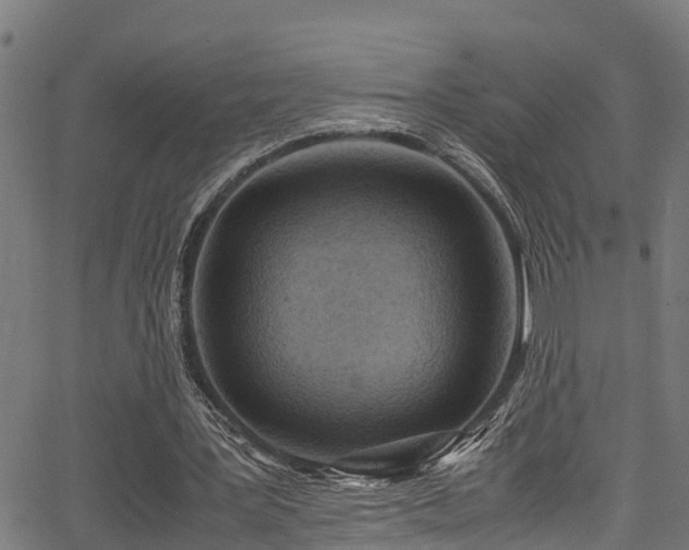 X0000066020387200603061328