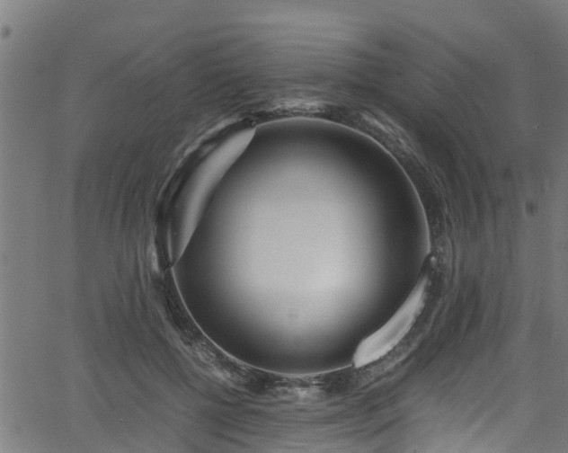 X0000066020552200603061325