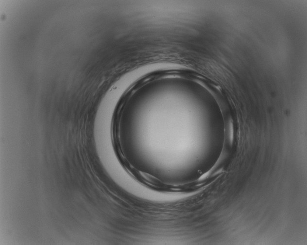 X0000066020752200603061322