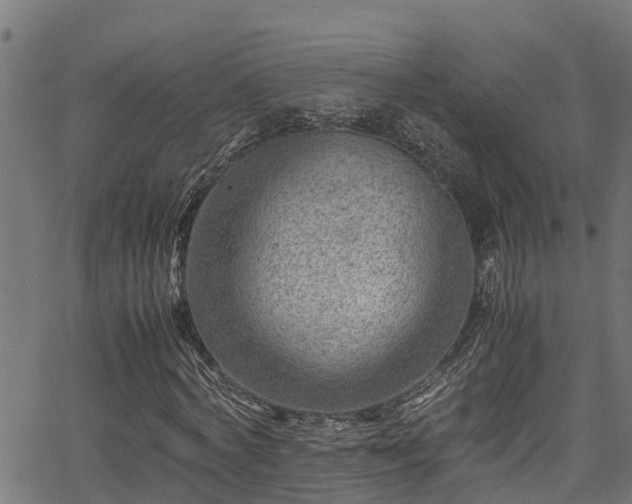 X0000066020772200603061322
