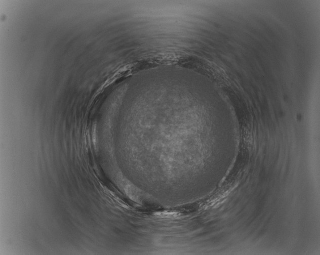 X0000066020818200603061320