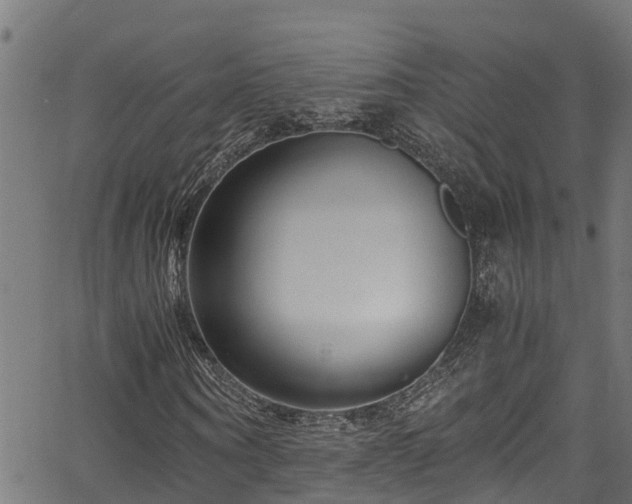 X0000066020866200603061320