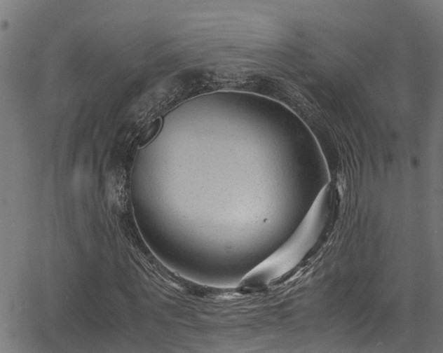 X0000066020867200603061320