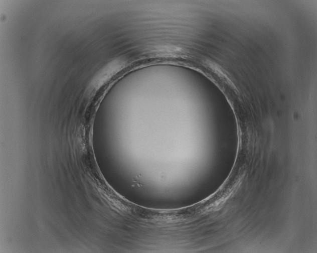 X0000066020970200603061318