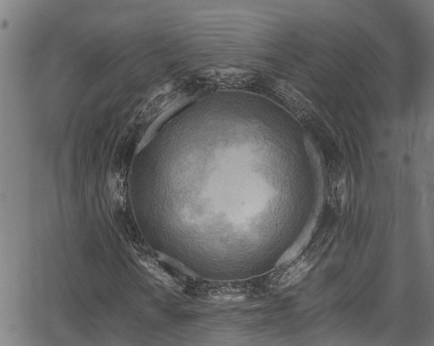 X0000066021010200603061317